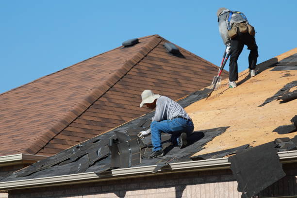 Best Roof Maintenance  in Philadelphia, PA